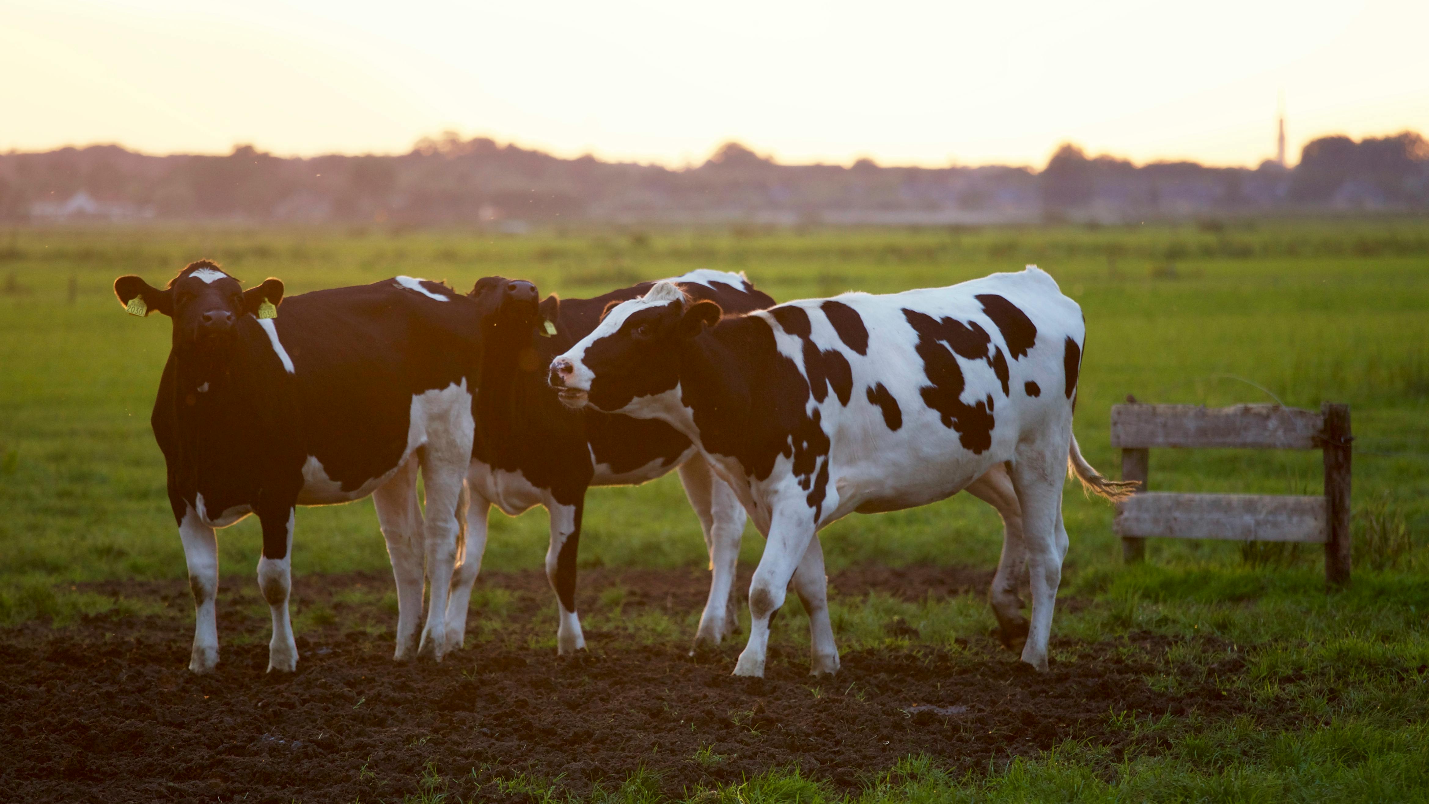 Farm Image